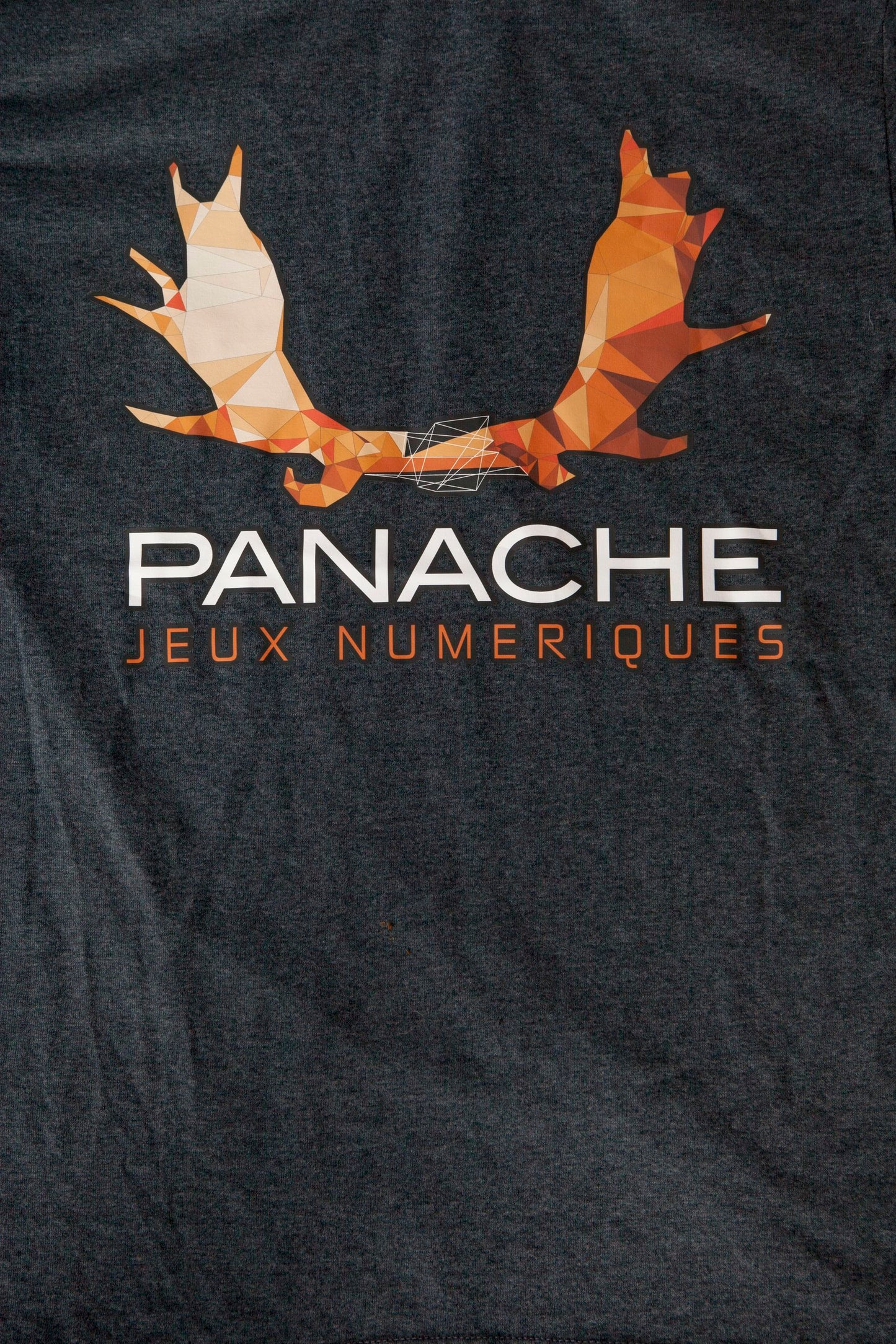 T-shirt Panache Jeux Numériques / Panache T-Shirt sold out