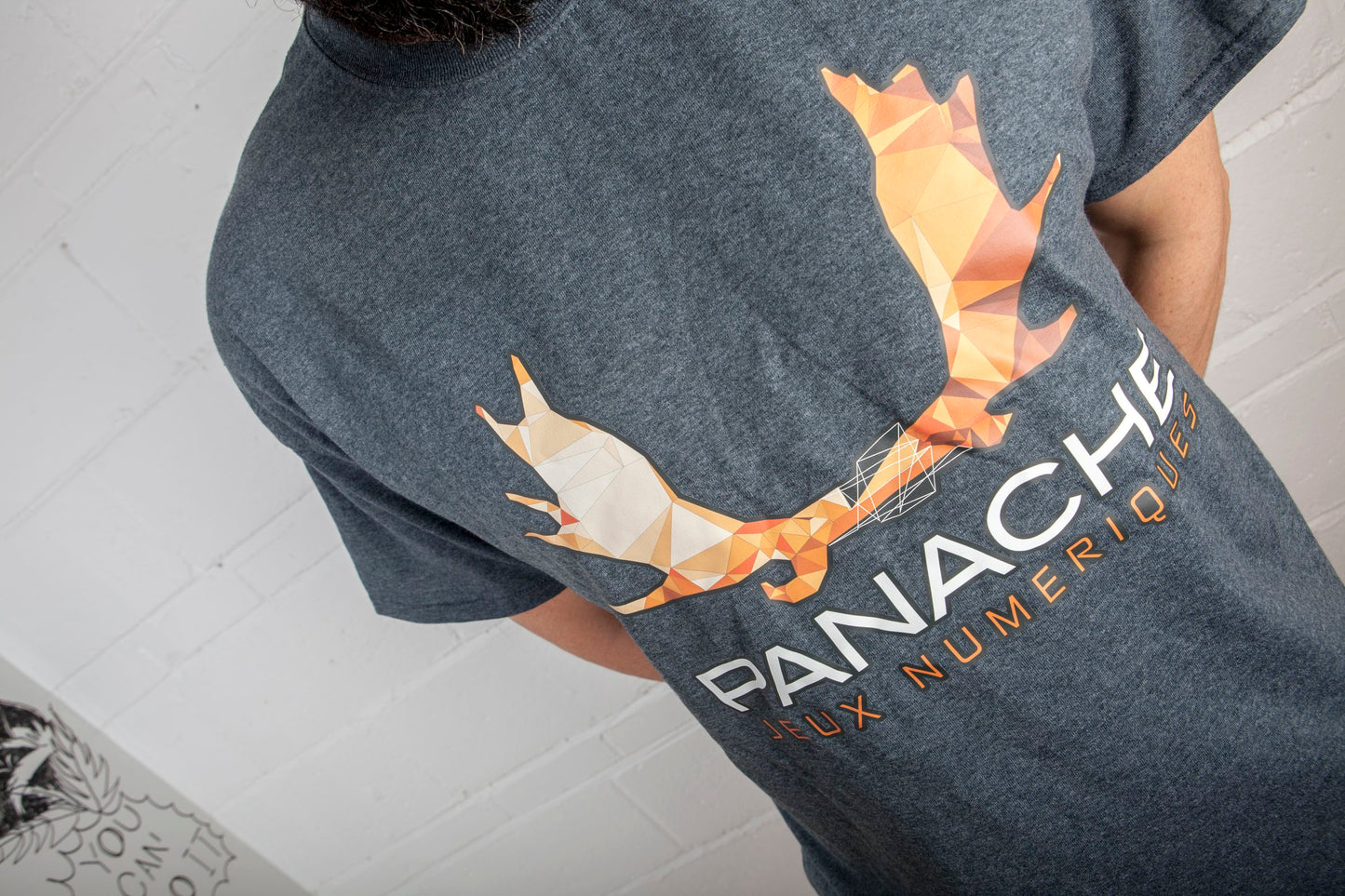 T-shirt Panache Jeux Numériques / Panache T-Shirt sold out